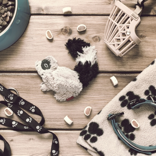 Pet Accessories