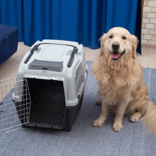 Pet bag