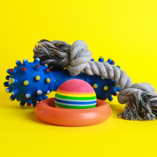 Smart Toys