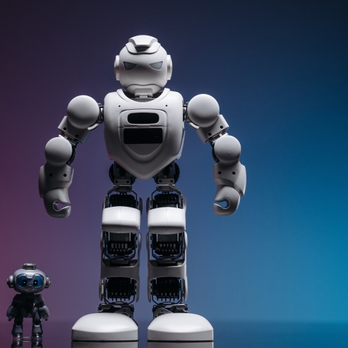 Electronic toys
