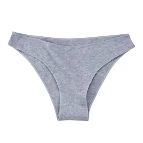 Comfortable Sexy Briefs Women's Low Rise Cotton Soft Underwear