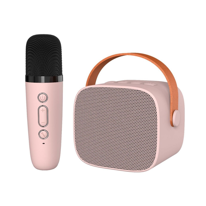 Portable Bluetooth Karaoke Speaker with Microphone Split Speaker