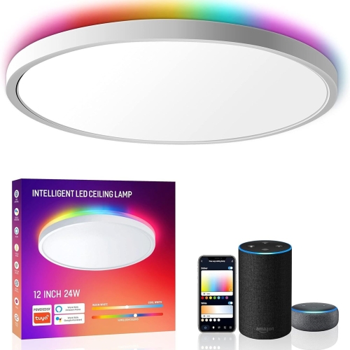 Smart LED Ceiling Light - RGB Colorful Waterproof Dustproof Mosquito-Proof, Compatible with Alexa
