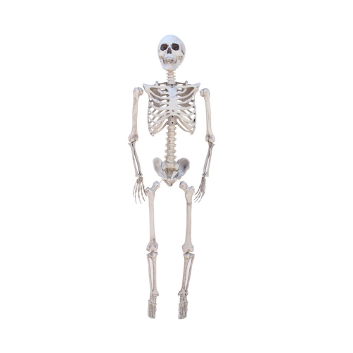 Halloween haunted house bar room escape simulation plastic skull ornaments theater props decoration