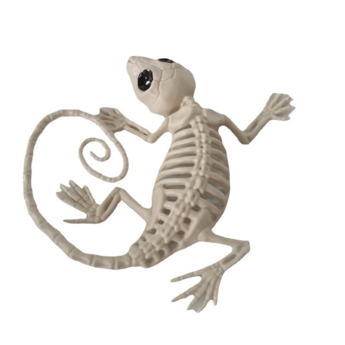 Halloween props skull bat spider scorpion horror animal skeleton skull