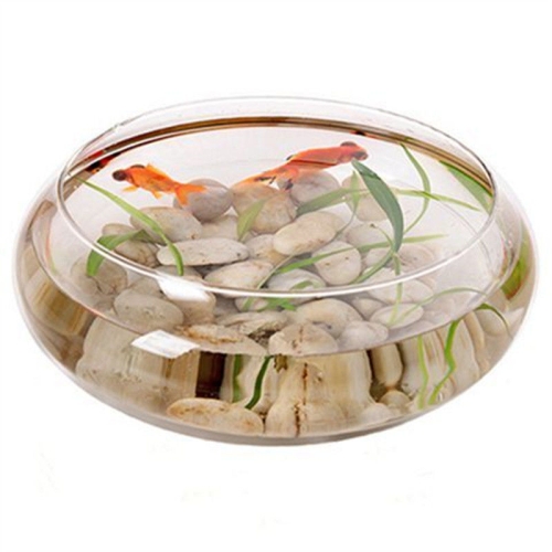 Brand New Premium High Quality and Durable Product Perspex Round Fishbowls