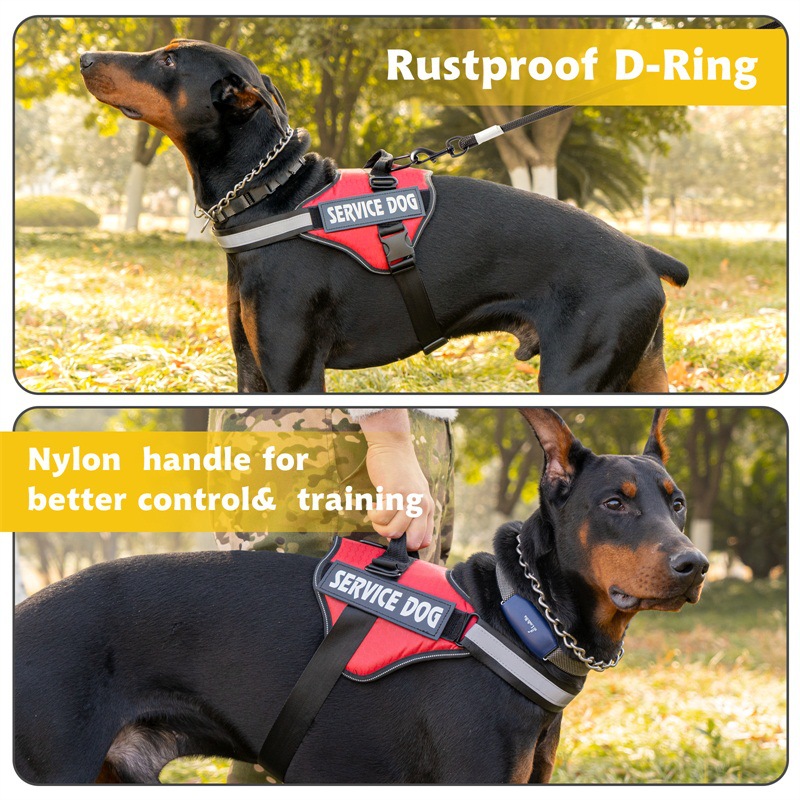 Powerharness For Dogs