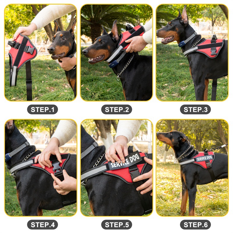 Powerharness For Dogs