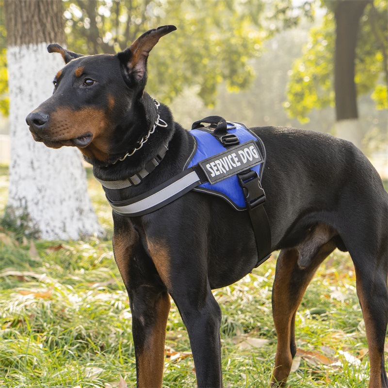Powerharness For Dogs