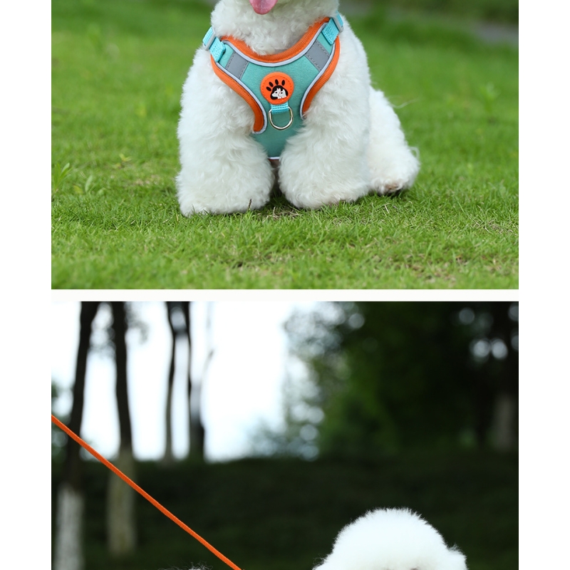 Trekking Step In Dog Harness