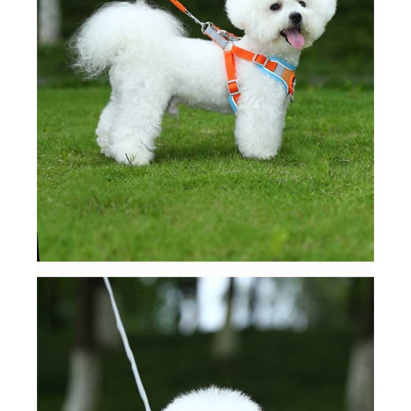 Trekking Step In Dog Harness