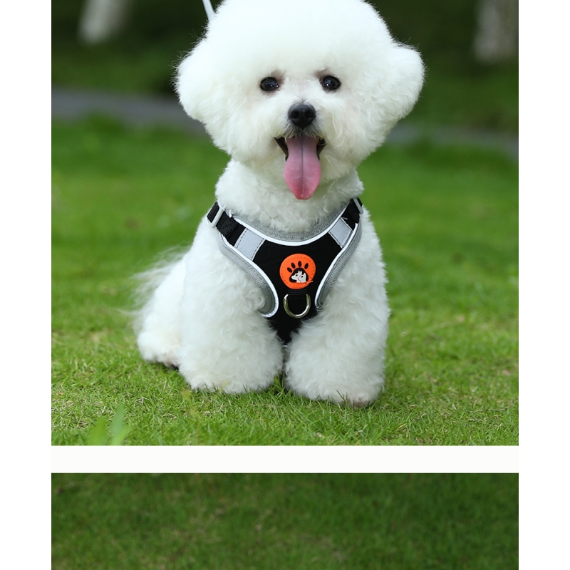 Trekking Step In Dog Harness