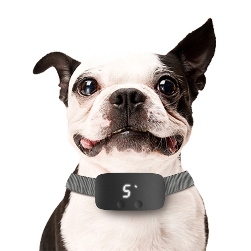 Rechargeable Dog Training Device