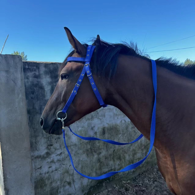 Velociti Ergonomic Leather Horse Cavesson Bridle