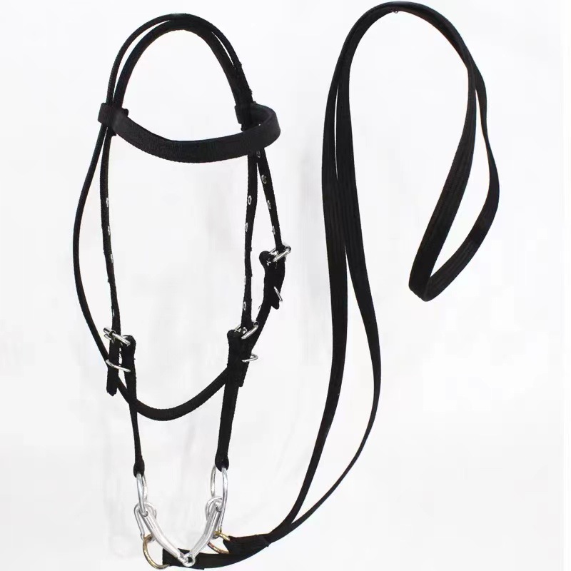 Velociti Ergonomic Leather Horse Cavesson Bridle