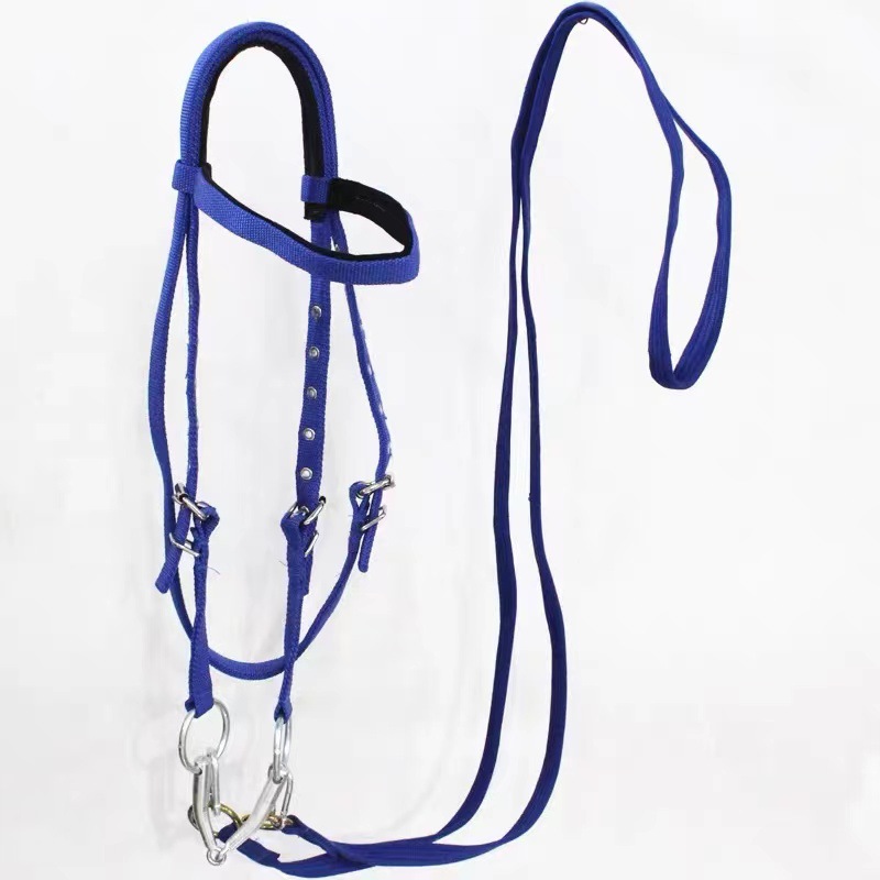 Velociti Ergonomic Leather Horse Cavesson Bridle