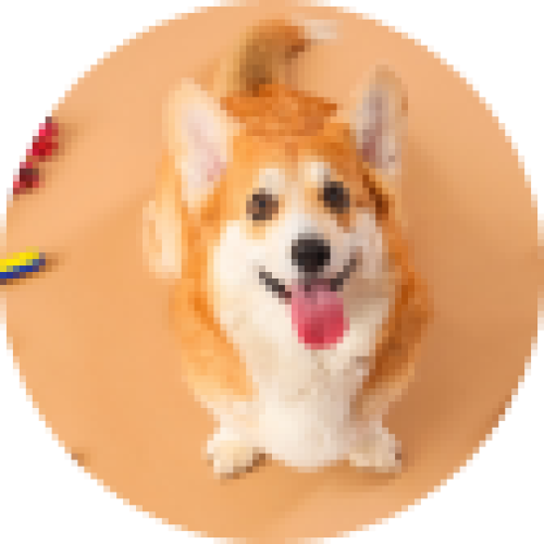 Pet Products