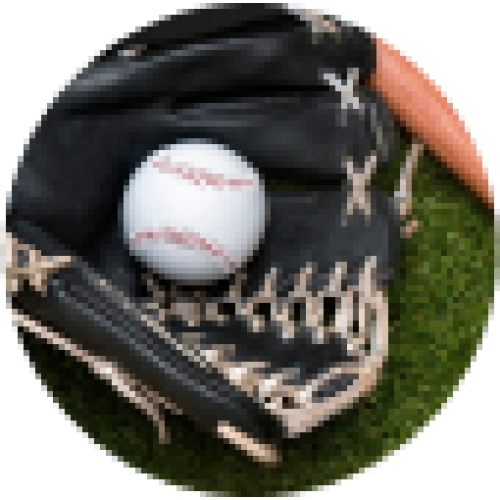 Sports & Outdoors