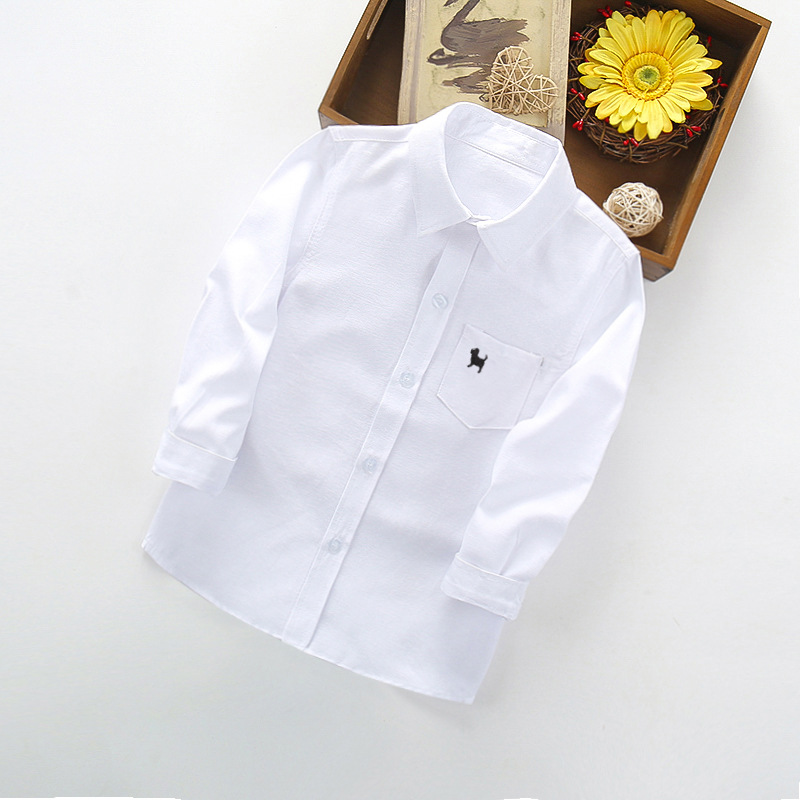 CF-CW-CT-000011*Color