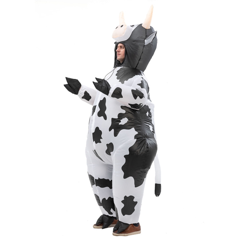 HW-000022*Color