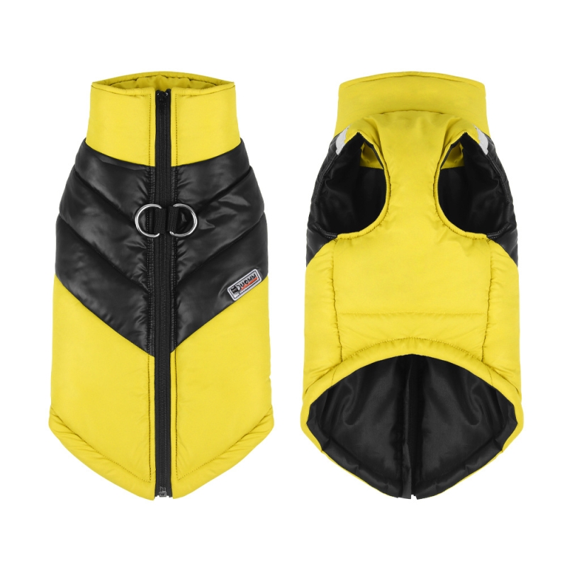 PP-PC-CL-000013*Color