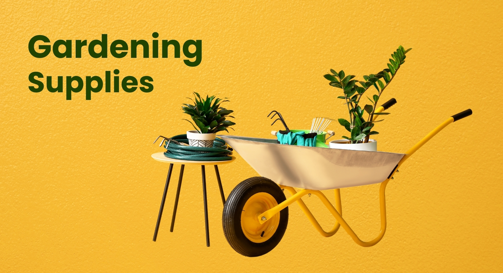Home & Garden