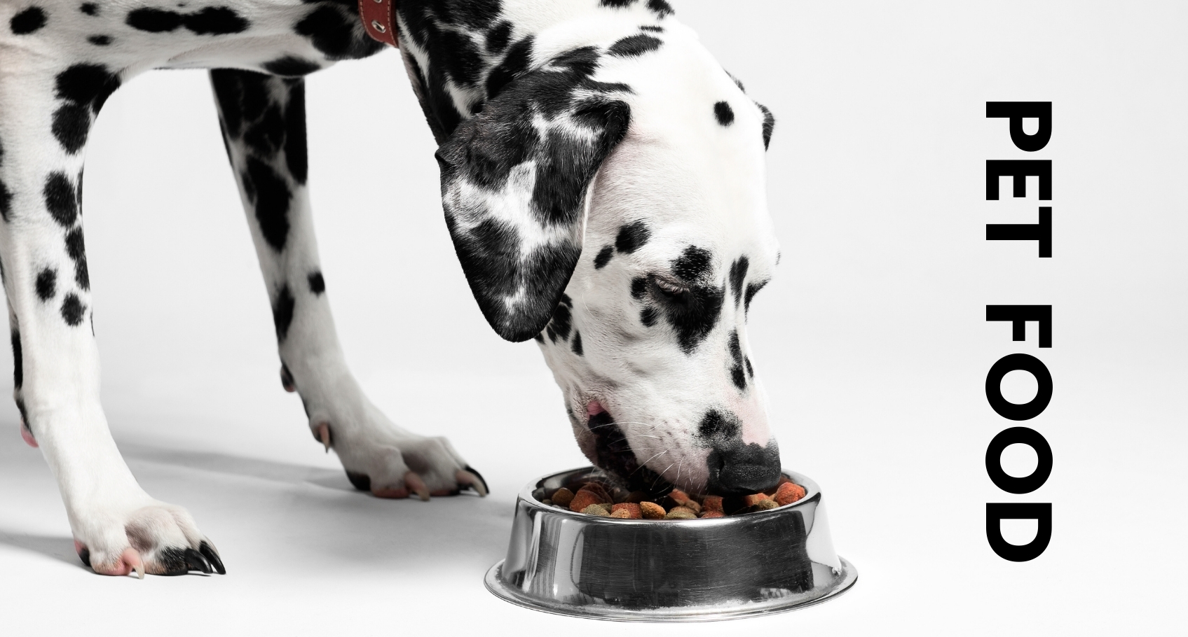 Pet Products