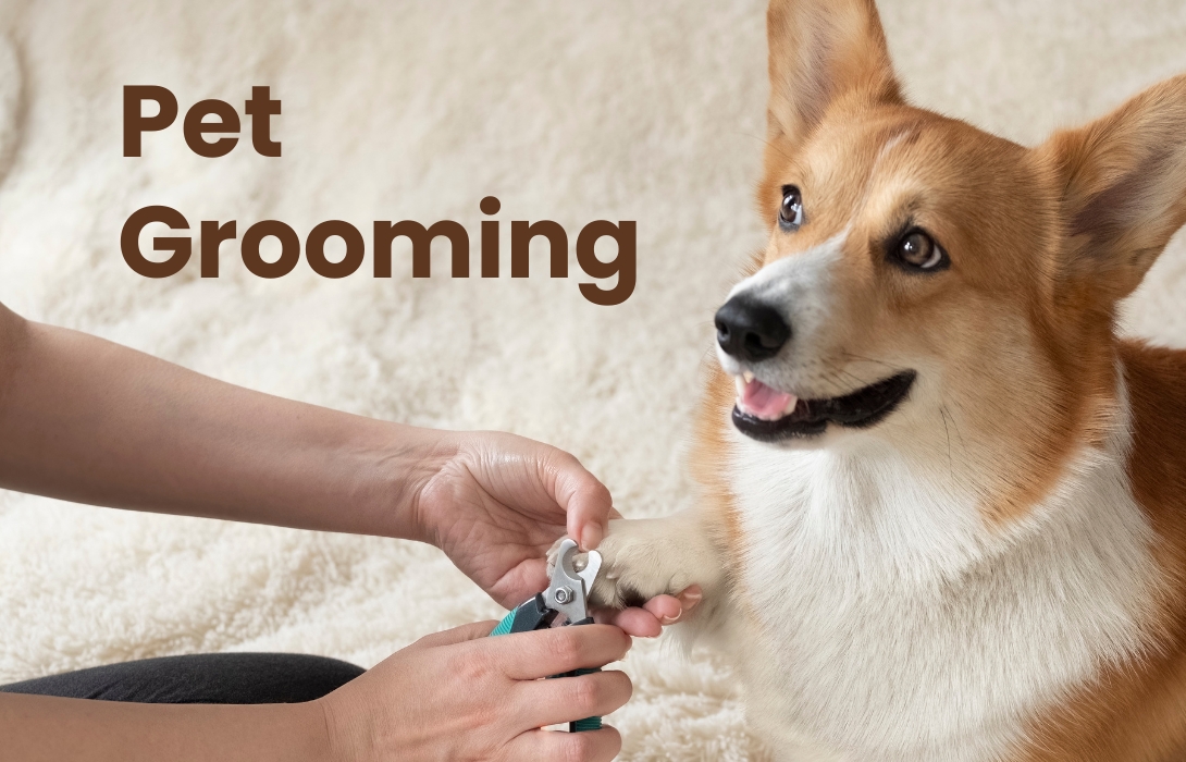 Pet Products