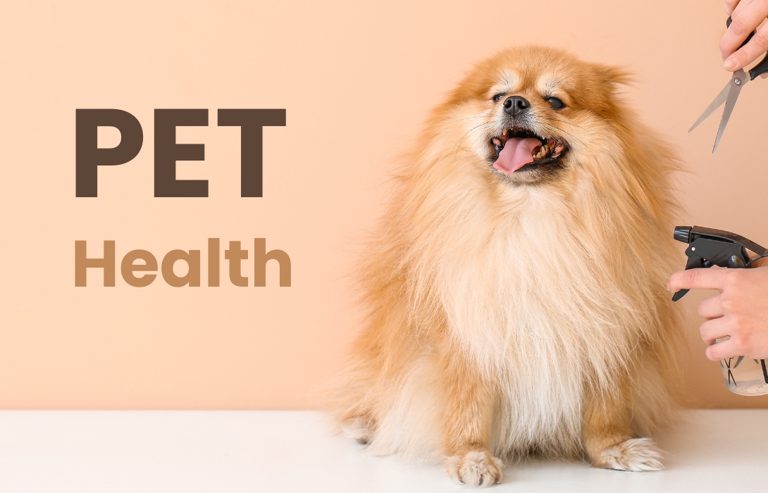 Pet Products